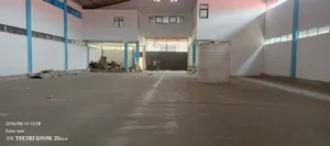 የሚሸጥ መጋዝን ቡሉቡላ ሳይት