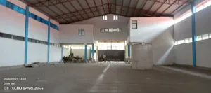 የሚሸጥ መጋዝን ቡሉቡላ ሳይት