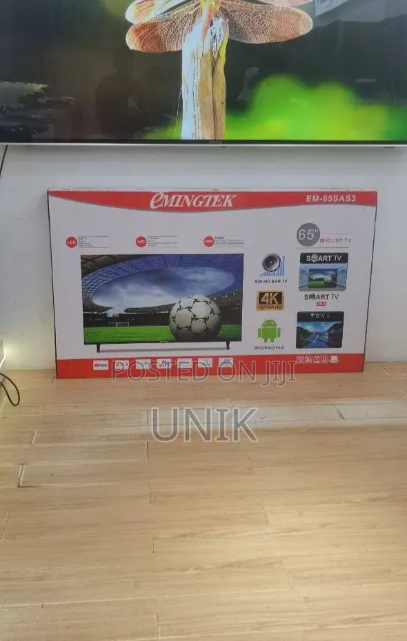 EMINGTEC 65 Inch