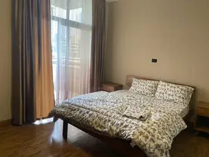Furnished 3bdrm Apartment in Bole for rent