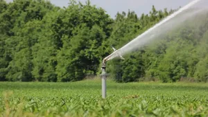 ፡Impact Sprinkler Head
