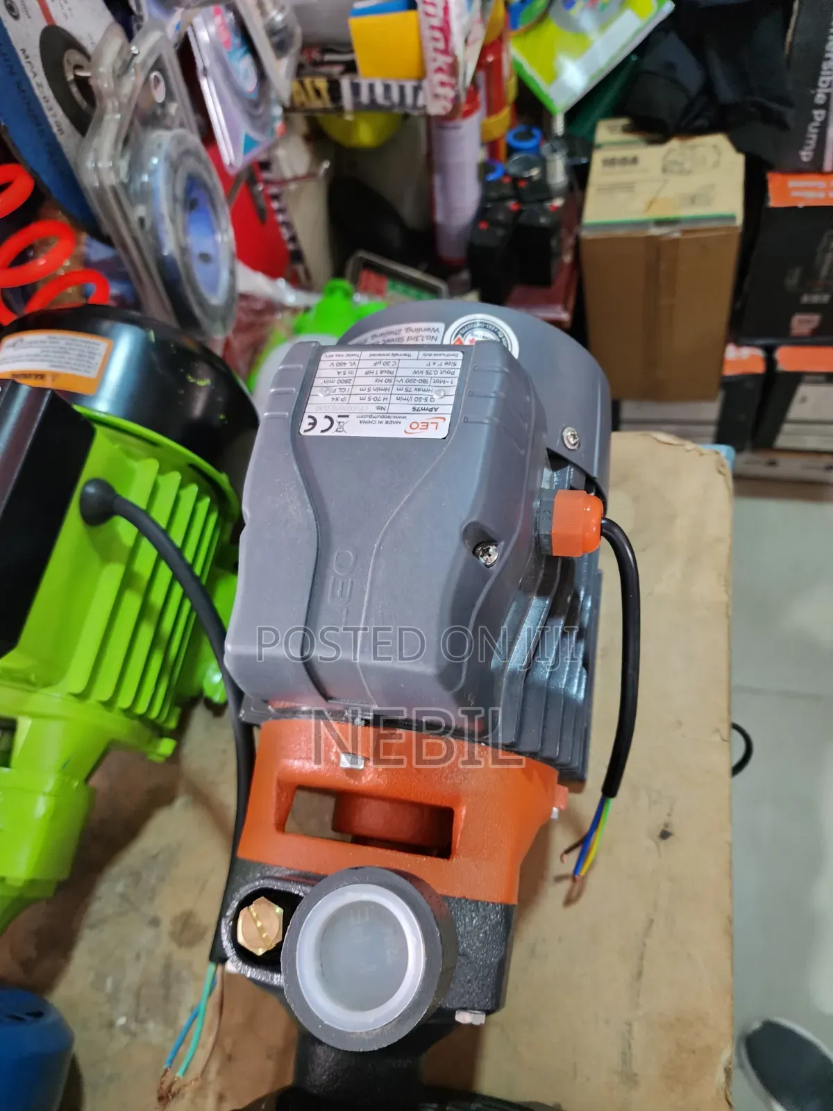 Leo 1 HP Water Pump