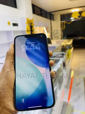 Apple iPhone 13 Pro Max 256 GB Black