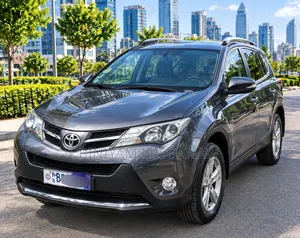 Toyota RAV4 2015 Gray