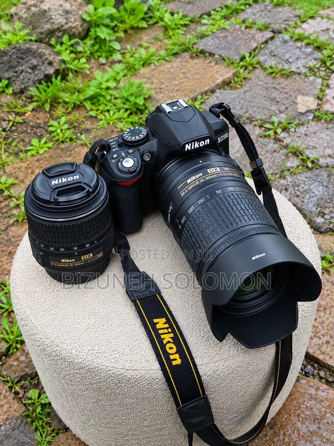 Nikon D3100