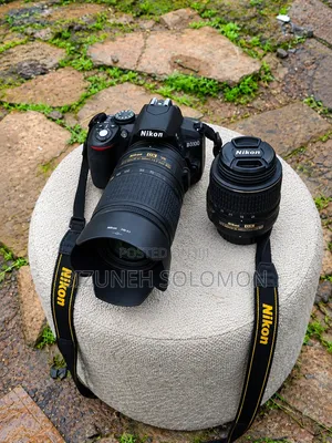 Nikon D3100