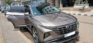 Hyundai Tucson Limited 2022 Blue