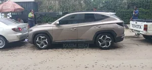 Hyundai Tucson Limited 2022 Blue