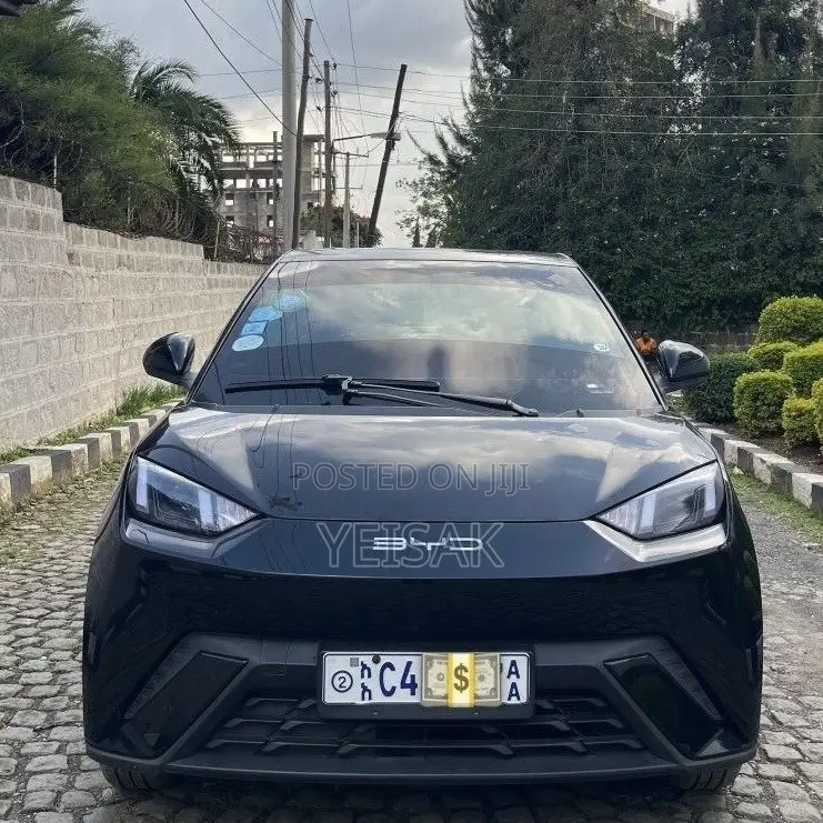 BYD Seagull 2024 Black