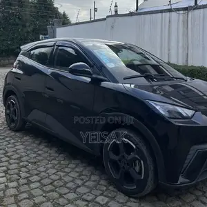 BYD Seagull 2024 Black