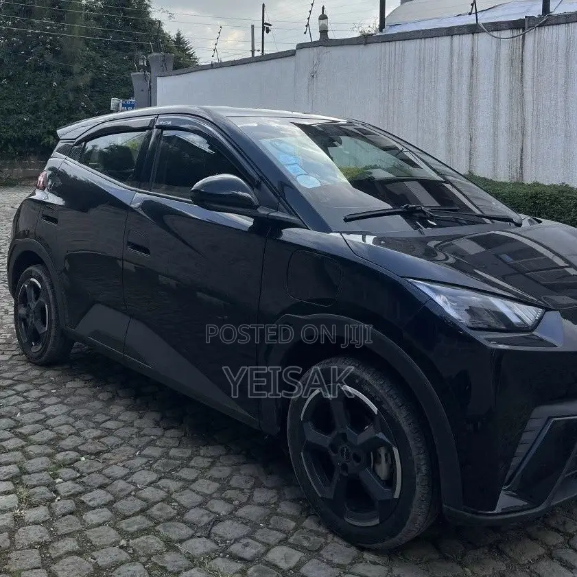 BYD Seagull 2024 Black