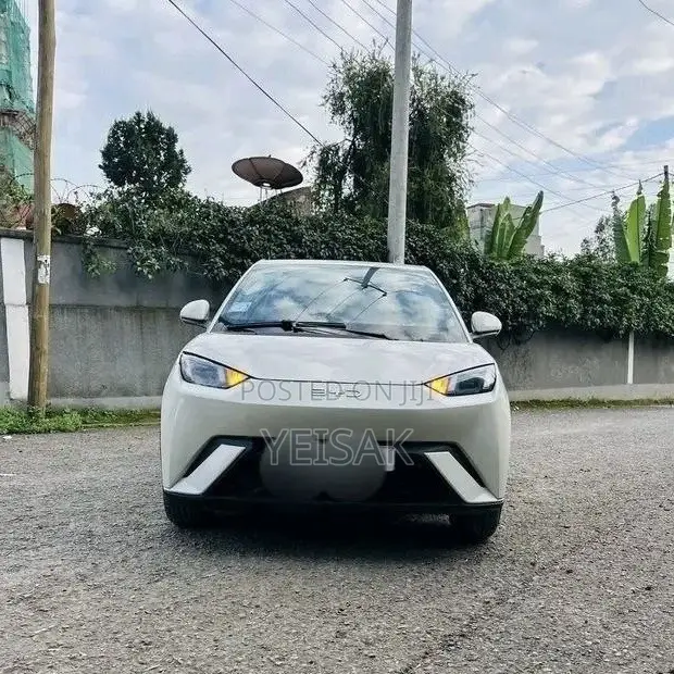 BYD Seagull 2024 White