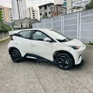 BYD Seagull 2024 White