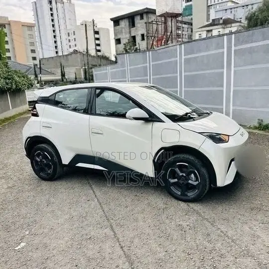 BYD Seagull 2024 White