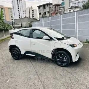 BYD Seagull 2024 White