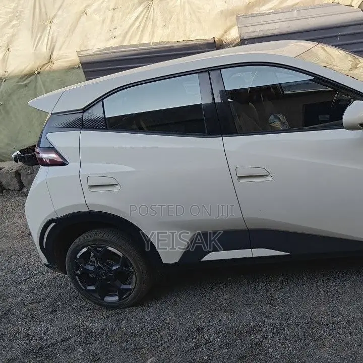 BYD Seagull 2025 White