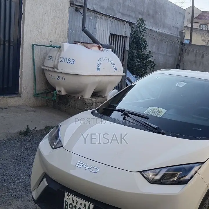 BYD Seagull 2025 White