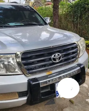Toyota Land Cruiser 2010 Silver