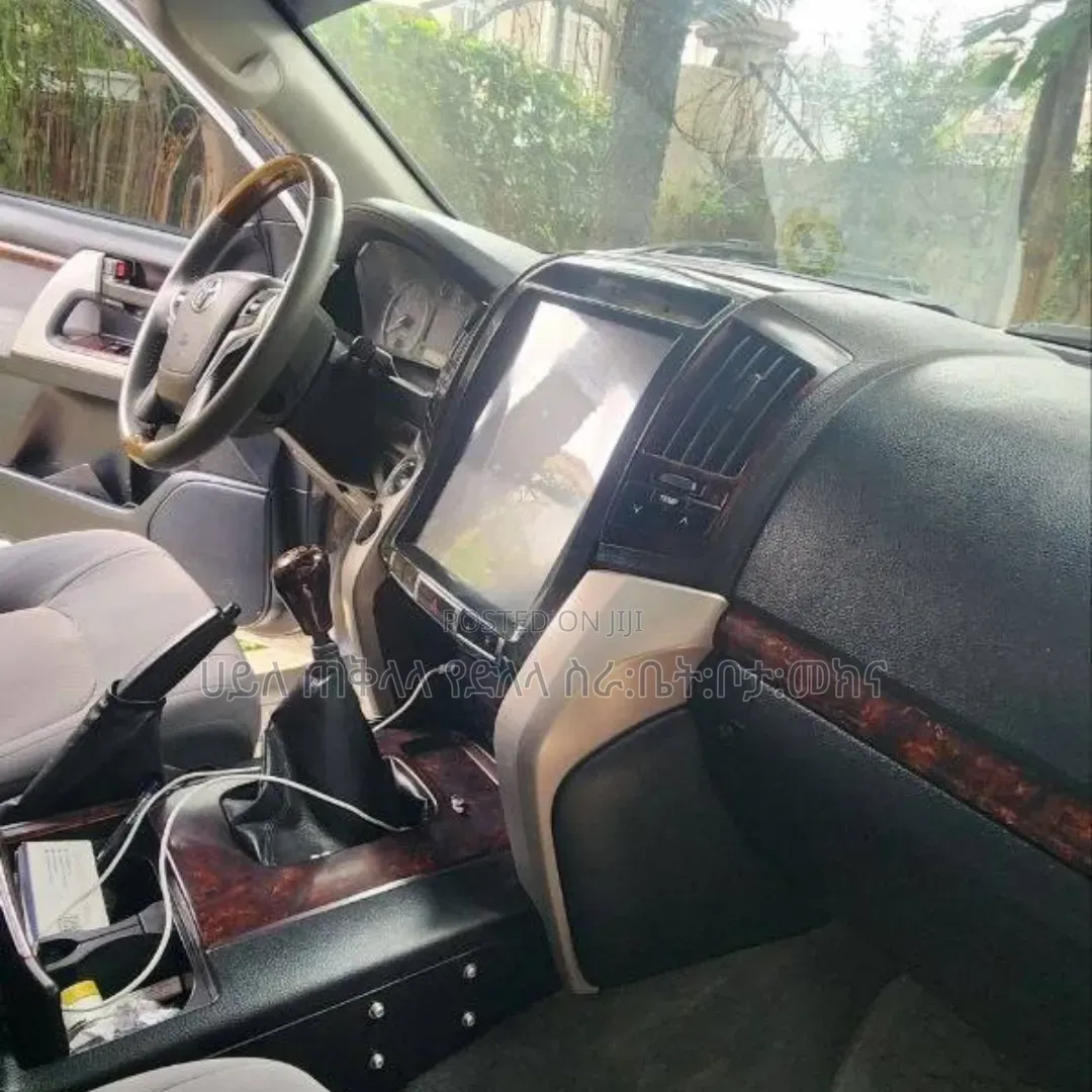 Toyota Land Cruiser 2010 Silver