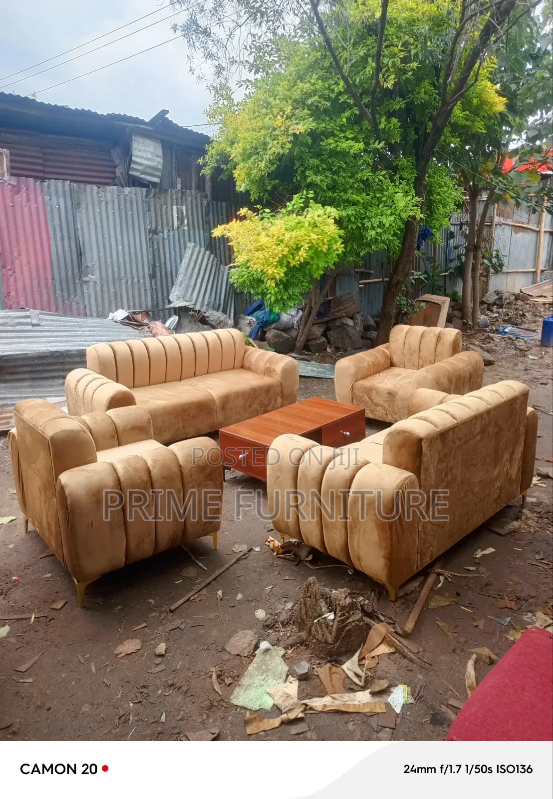 Elegant Sofa