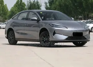 BYD Sealion 06 EV 2026 Gray