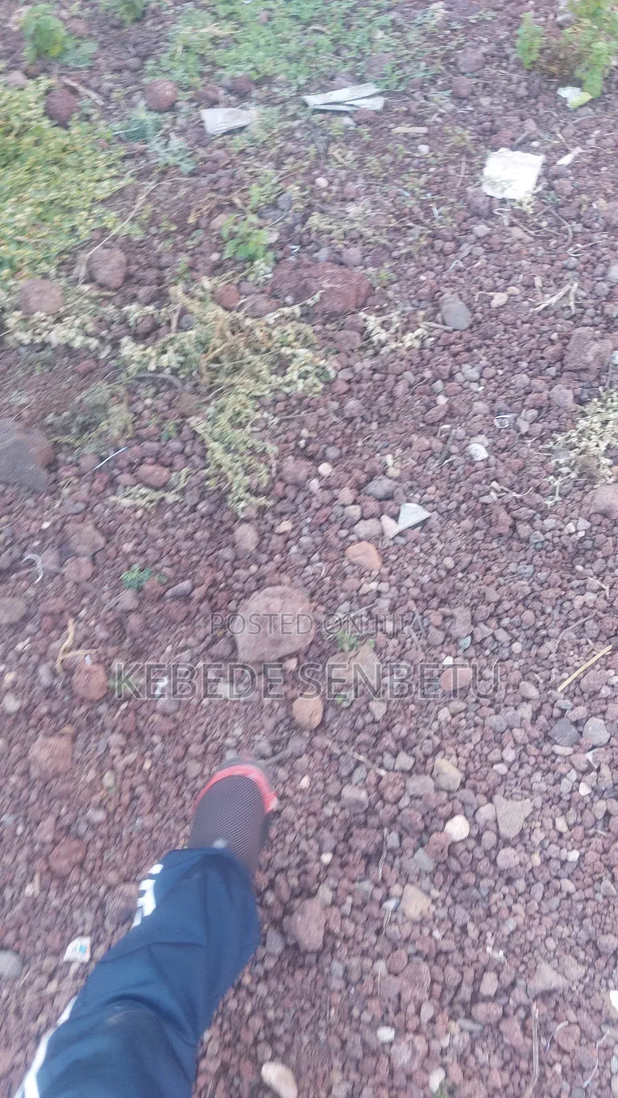 Land Plot for Sale
