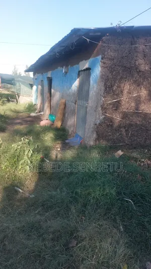 Land Plot for Sale