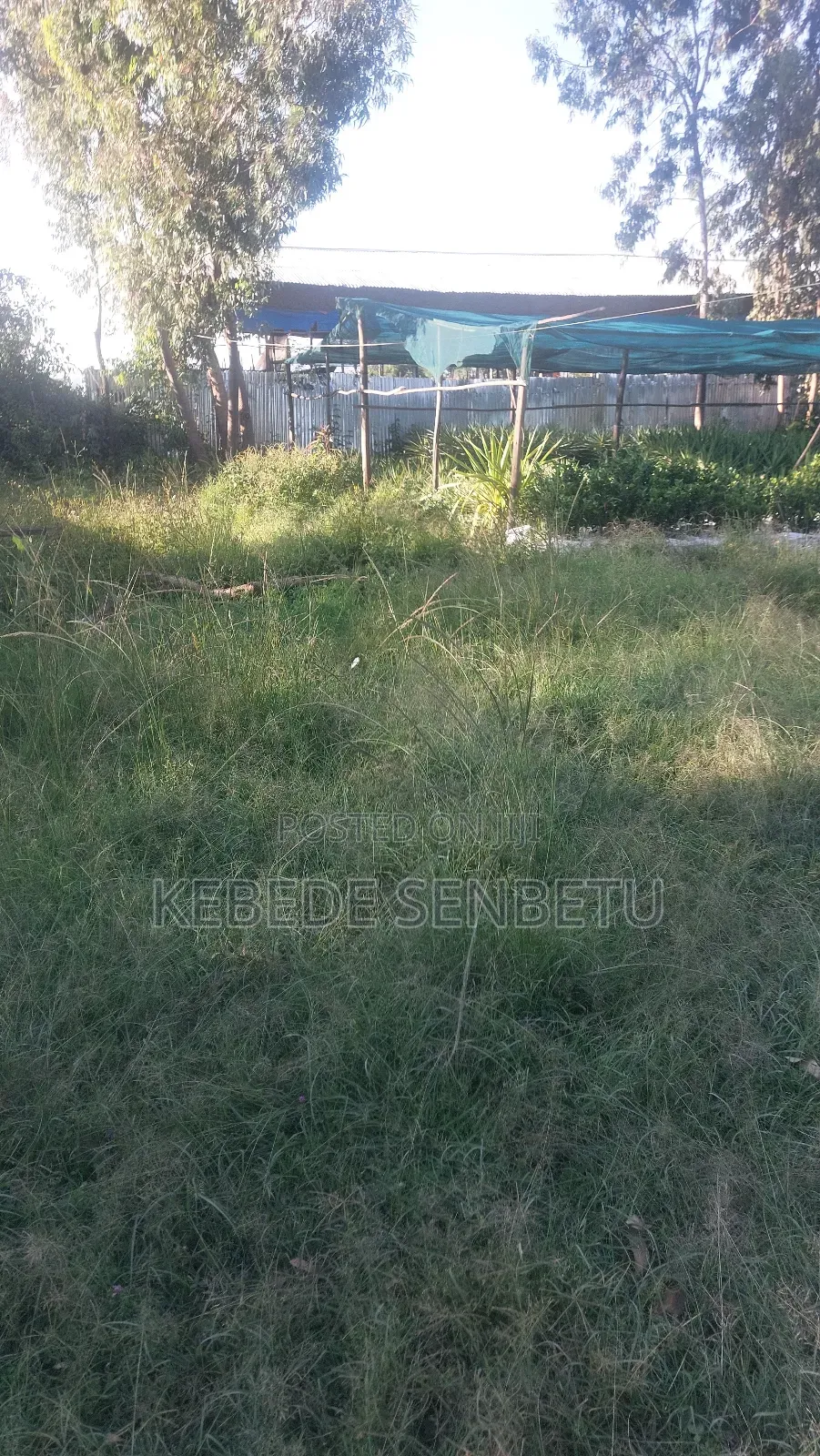 Land Plot for Sale