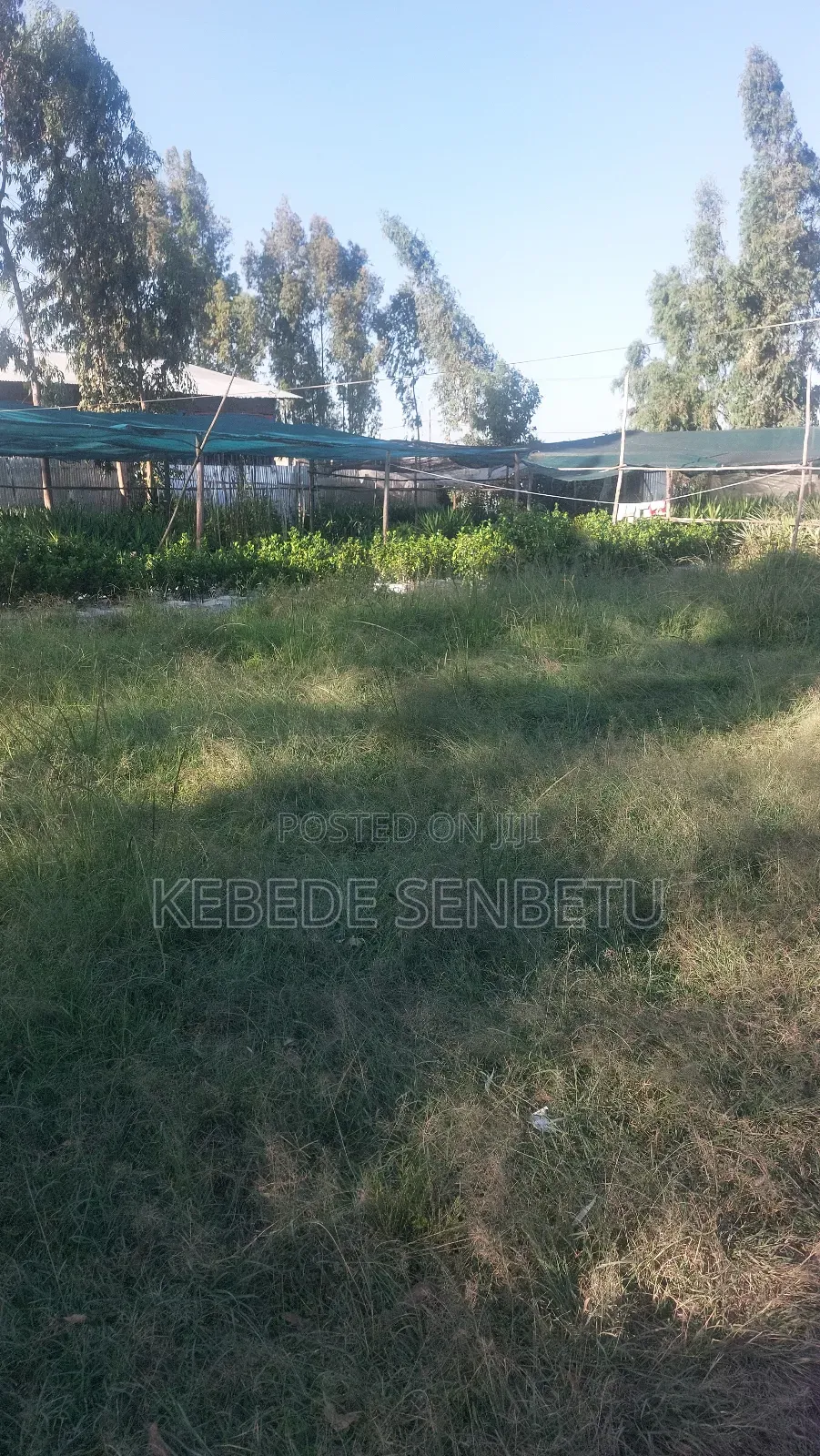 Land Plot for Sale