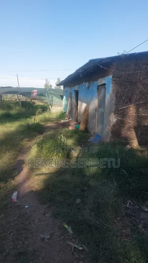 Land Plot for Sale