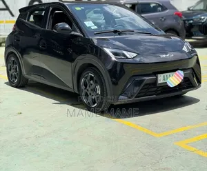 New BYD Seagull 2025 Black