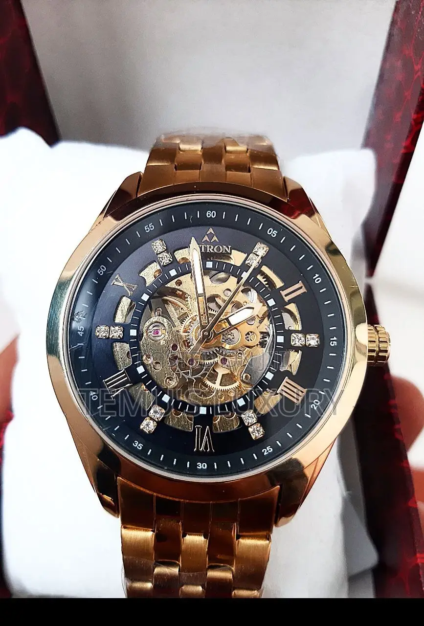 Fitron Top Brand Luxury Men Automatic Mechanical Watches