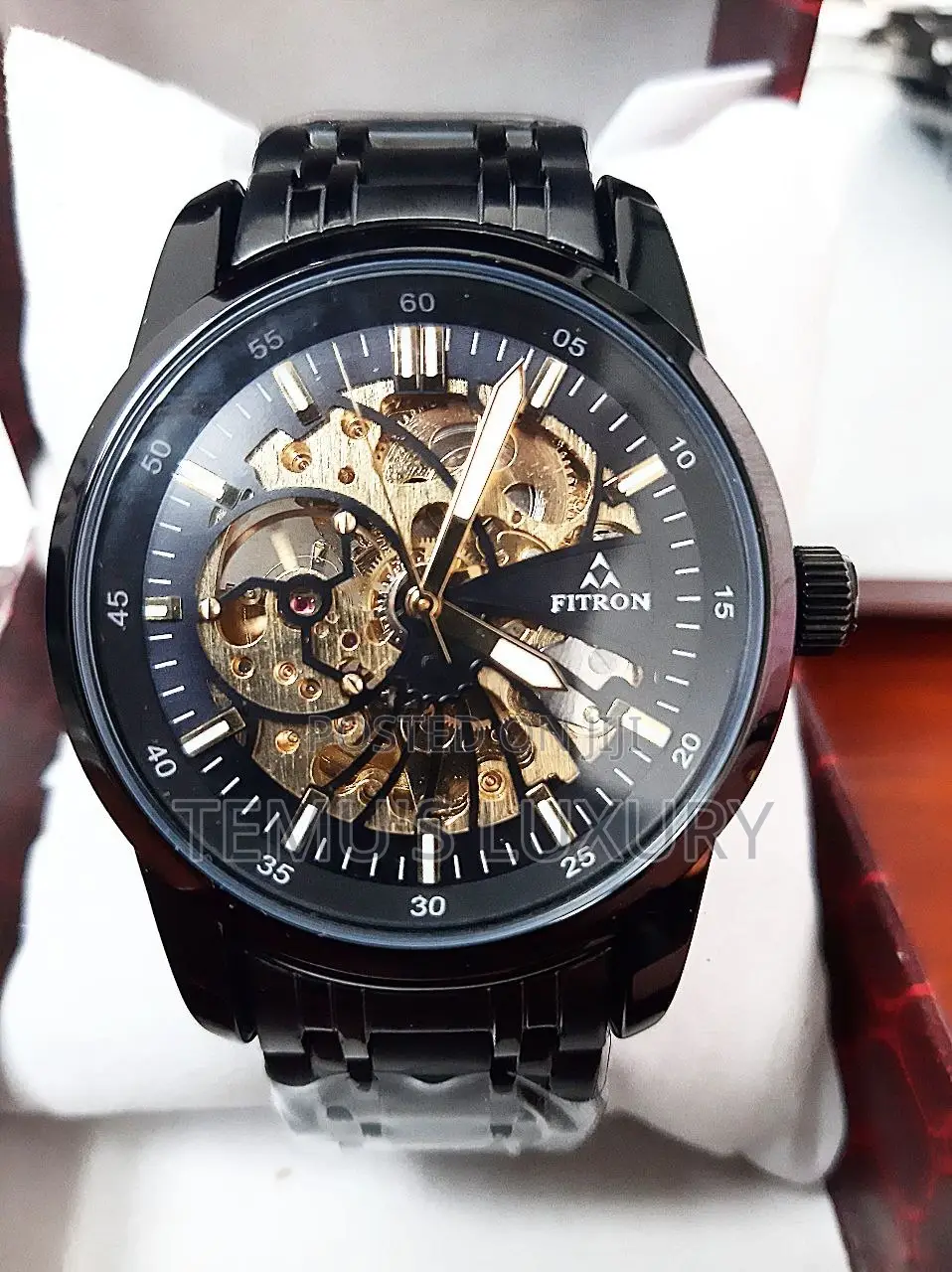 Fitron Top Brand Luxury Men Automatic Mechanical Watches