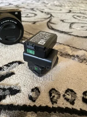 Sony Zve 10