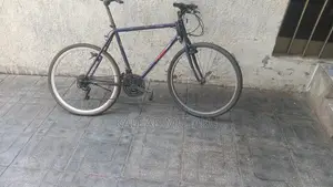 Phonex Bike