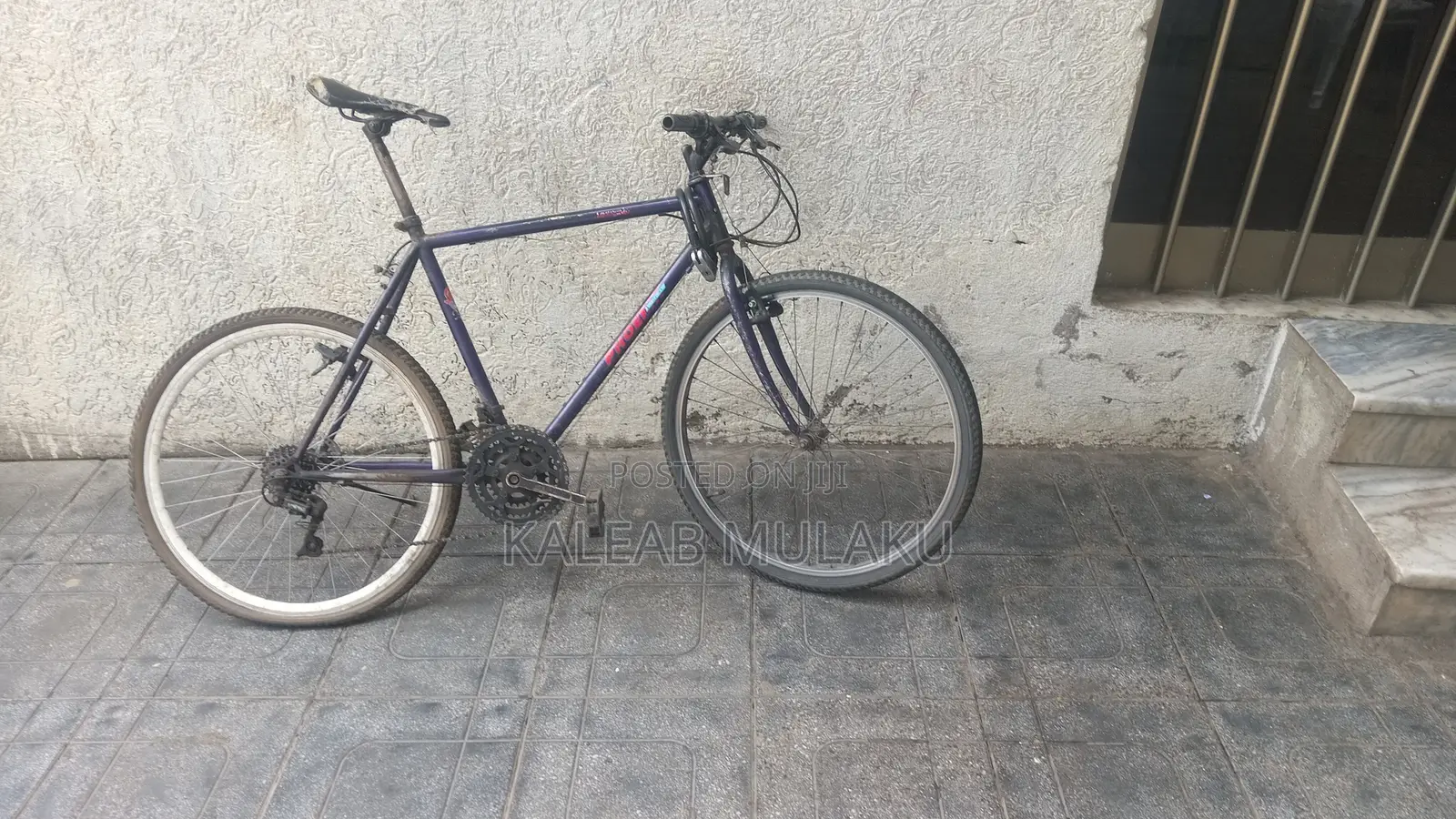 Phonex Bike