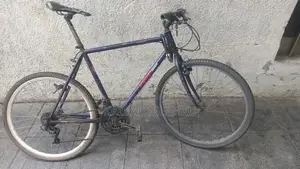 Phonex Bike
