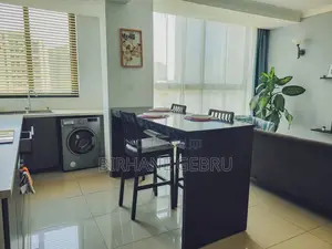Furnished 3bdrm Apartment in Luxury Ferinshed, Bole for rent