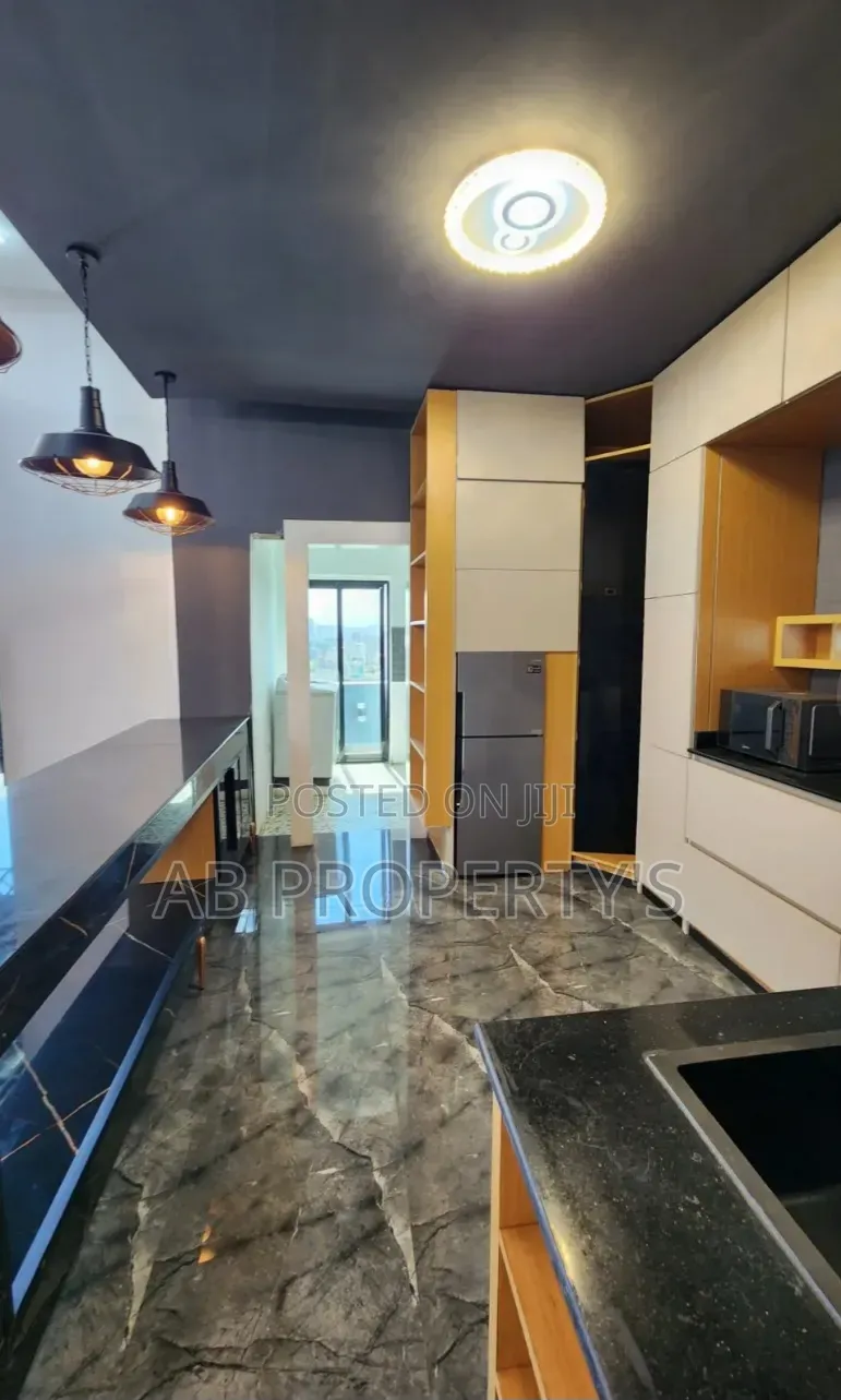 Furnished 3bdrm Penthouse in 24, መገናኛ, Yeka for sale