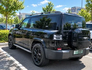 BYD Leopard 7 2025 Black