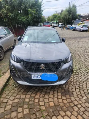 Peugeot 2008 2023 Gray