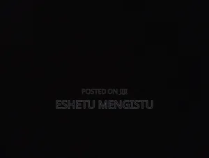 Script Writer