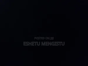 Video Editor
