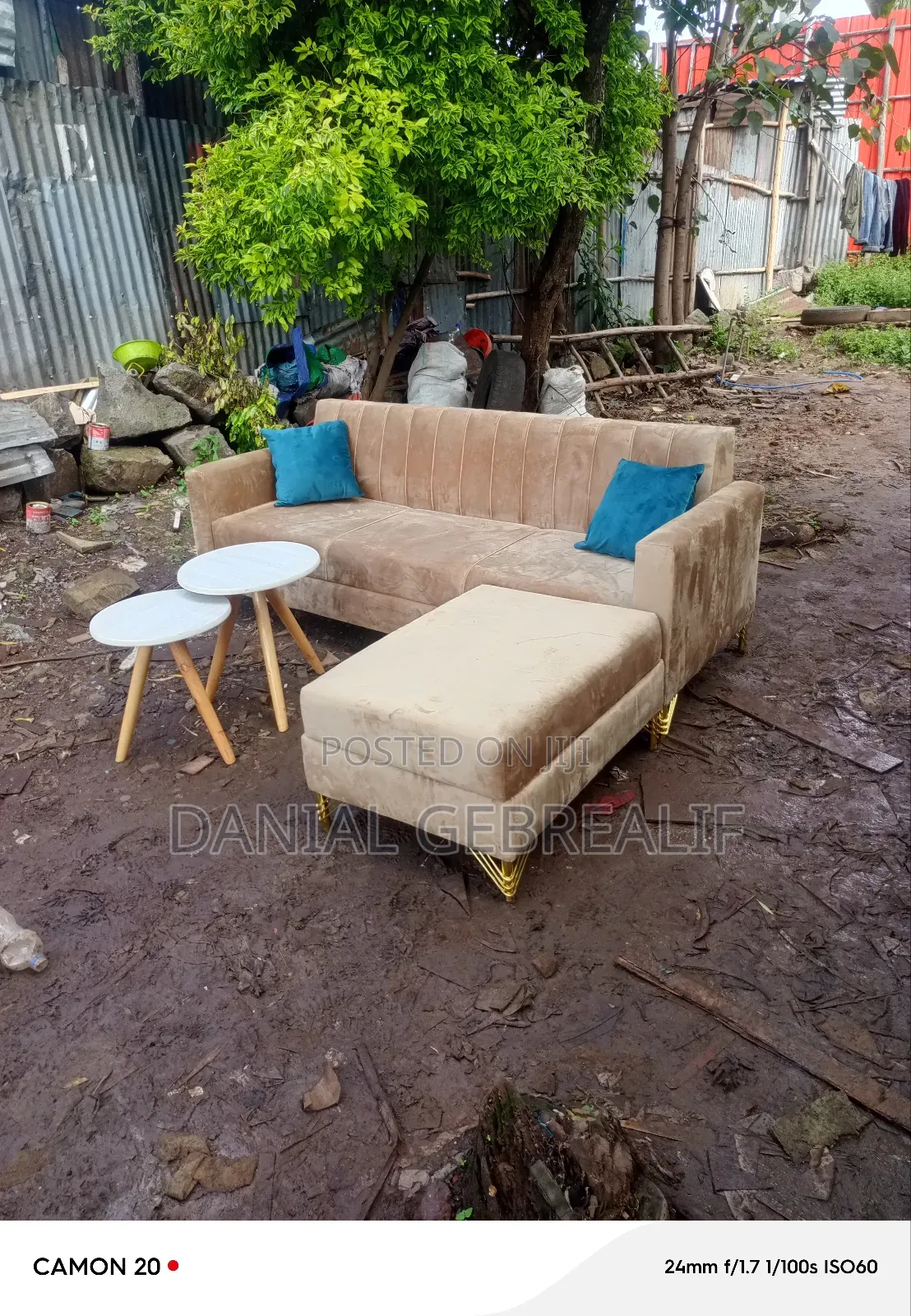 Dream Sofa