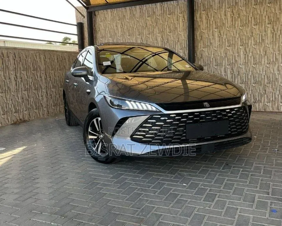New BYD Qin Plus DM-i 2025 Gray