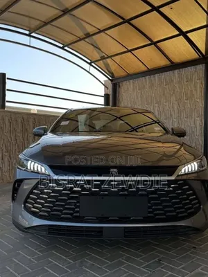 New BYD Qin Plus DM-i 2025 Gray