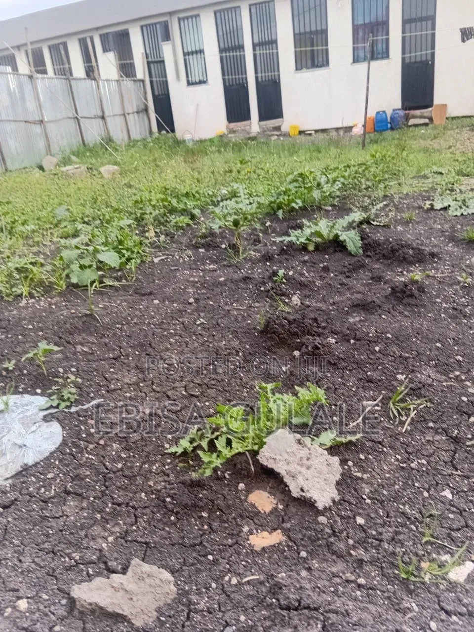 3bdrm Farm House in Oromia-Finfinne for sale