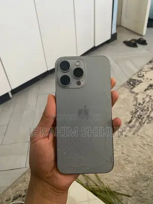 Apple iPhone 15 Pro Max 256 GB Gray