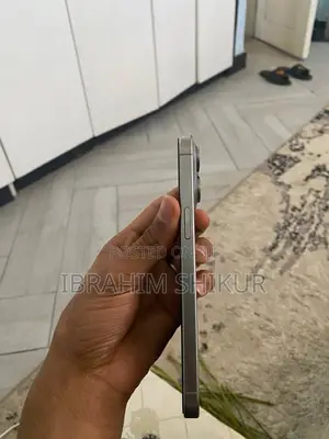 Apple iPhone 15 Pro Max 256 GB Gray