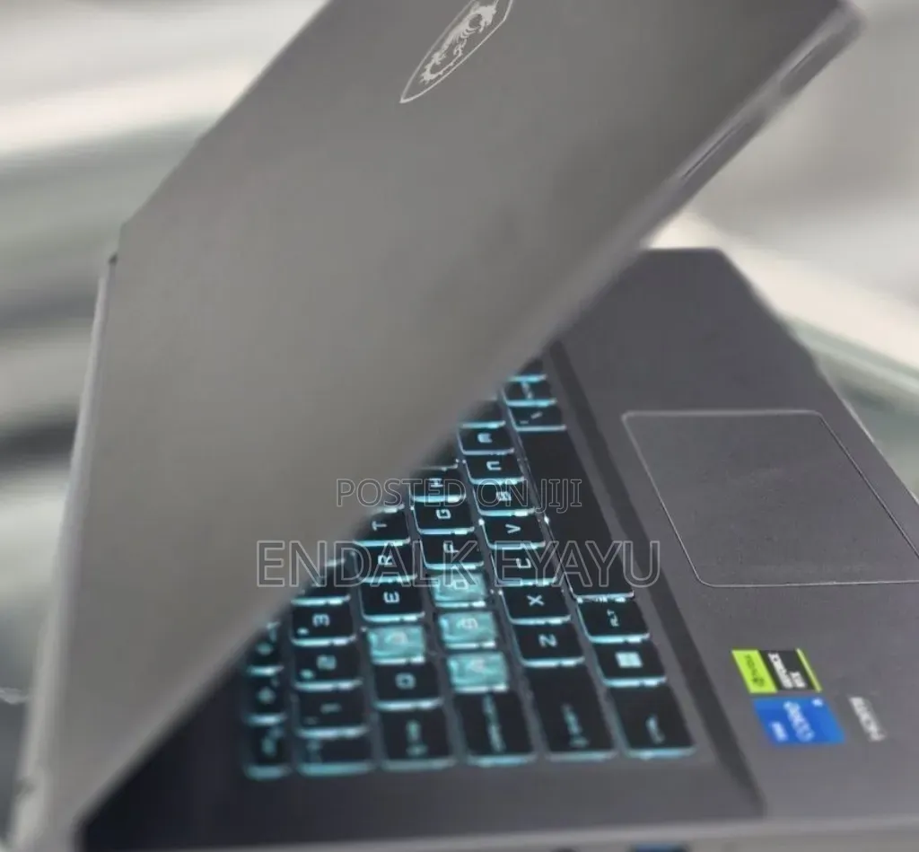 New Laptop MSI GF75 Thin 16GB Intel Core i5 SSD 1T